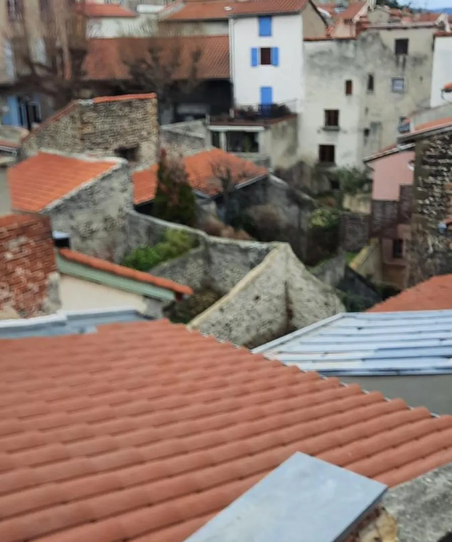 Bienvenue Chez Vous Apartment Le Puy-en-Velay France